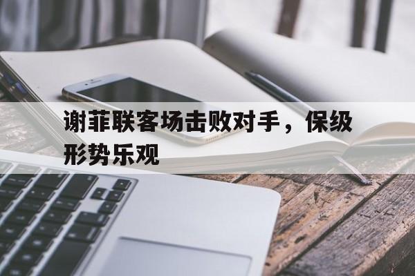 九游体育下载-谢菲联客场击败对手，保级形势乐观